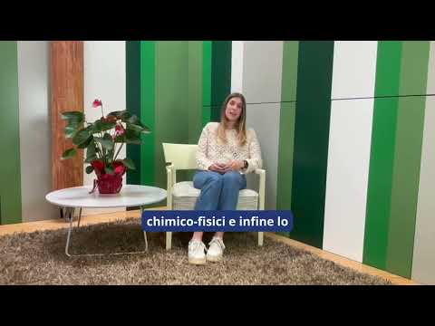 oscar youtube video